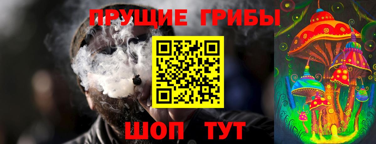 Северобайкальск  Псилоцибиновые грибы ЛСД  Галлюциногенные грибы мухоморы  Вход с VPN 