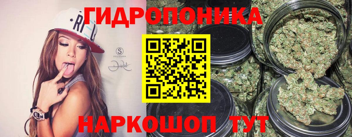 Каннабис SATIVA & INDICA Северобайкальск